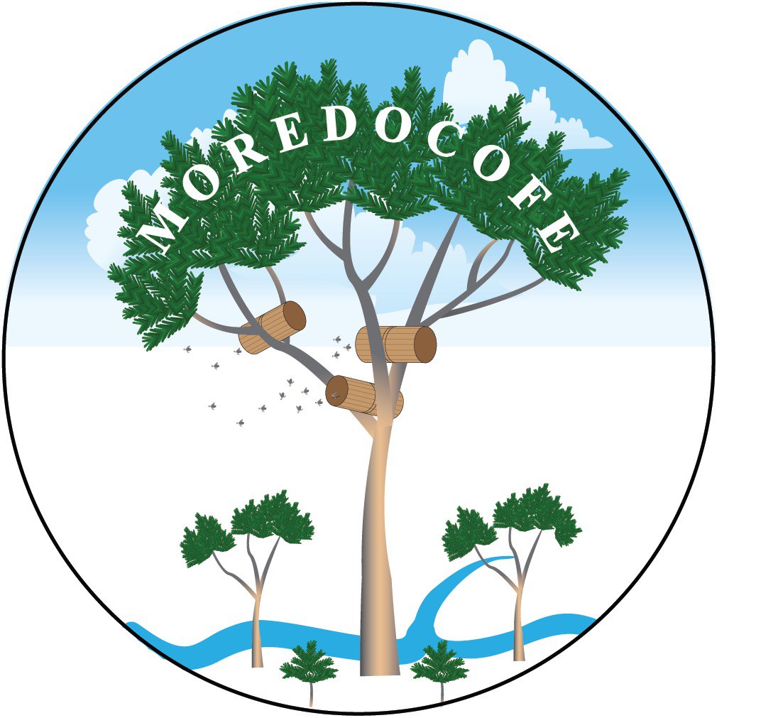 MOREDOCOFE SC logo